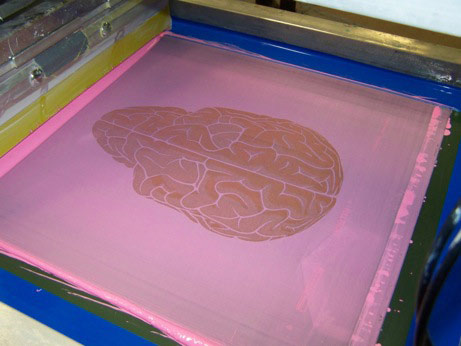  Skull Brain