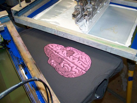  Skull Brain